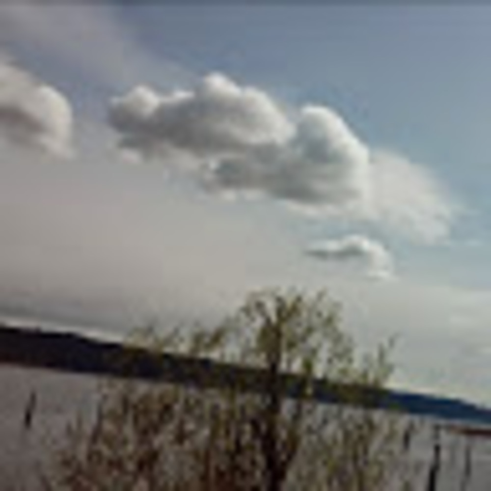 Meet your Posher, Kelli